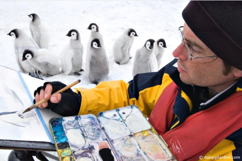 南极洲最友善的居民！可爱企鹅超没戒心　见相机还排排站：这样OK吗？插图7
