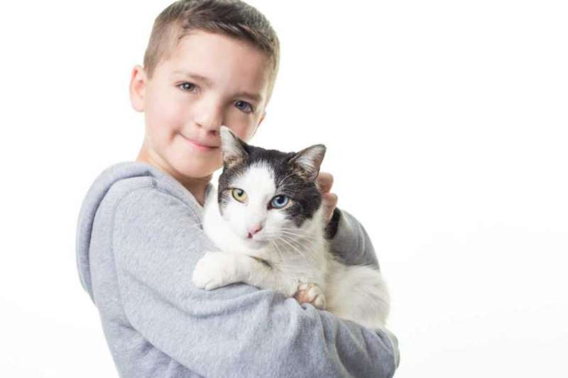 小男孩和猫咪同时有「虹膜异色症和唇裂症」 秒决定要领养回家